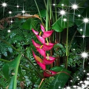 Meet your Posher, Debora